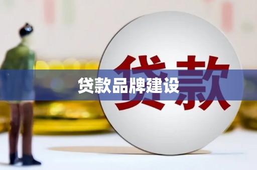 台西贷款品牌建设