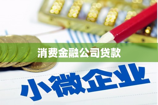 台西消费金融公司贷款