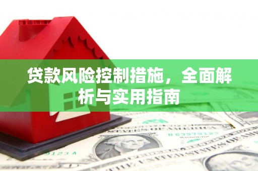 台西贷款风险控制措施，全面解析与实用指南