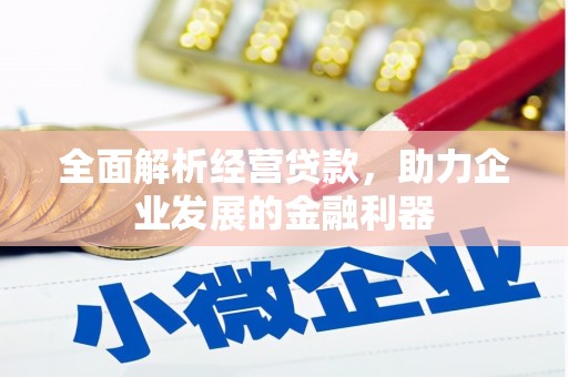 台西全面解析经营贷款，助力企业发展的金融利器