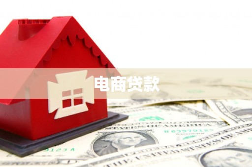 台西电商贷款