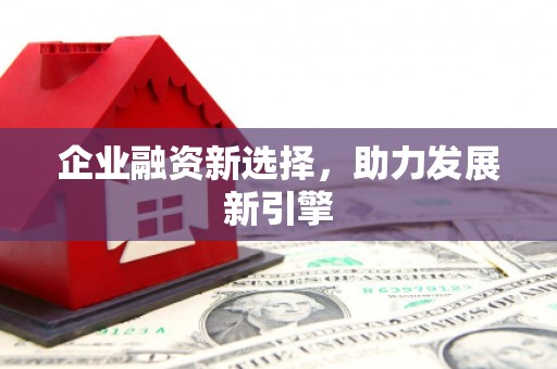 台西企业融资新选择，助力发展新引擎