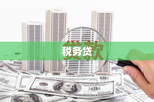 台西税务贷