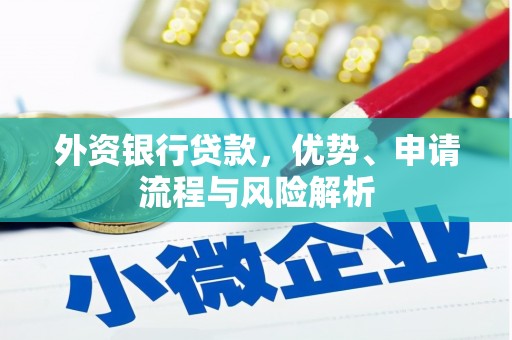台西外资银行贷款，优势、申请流程与风险解析