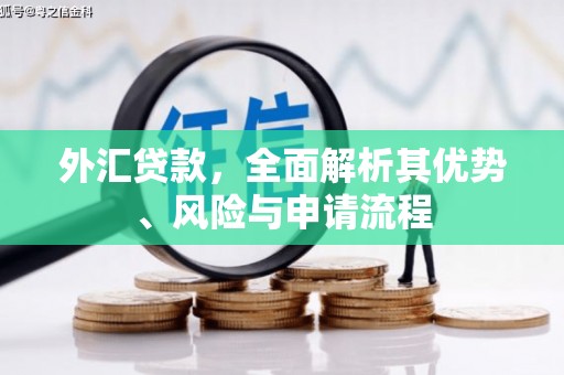 台西外汇贷款，全面解析其优势、风险与申请流程