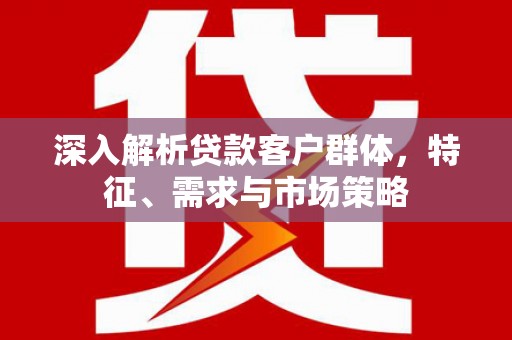 台西深入解析贷款客户群体，特征、需求与市场策略