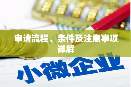 台西申请流程、条件及注意事项详解