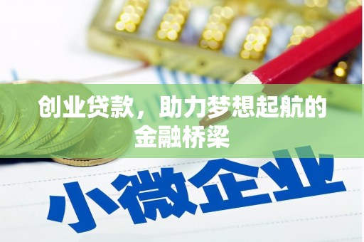 台西创业贷款，助力梦想起航的金融桥梁