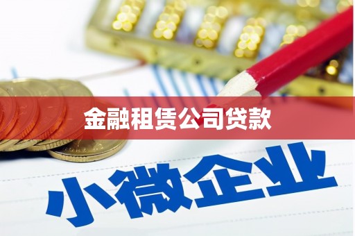 台西金融租赁公司贷款