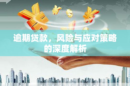 台西逾期贷款，风险与应对策略的深度解析