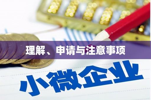 台西理解、申请与注意事项