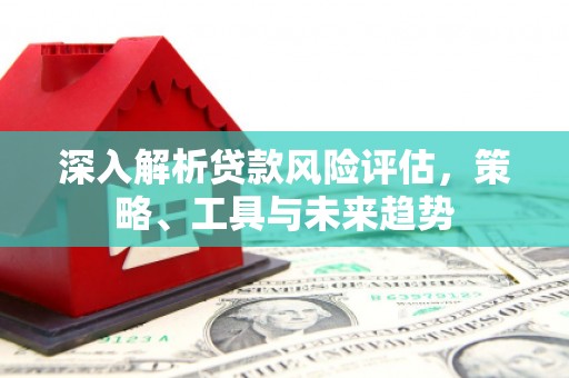 台西深入解析贷款风险评估，策略、工具与未来趋势