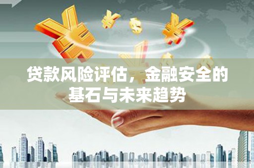 台西贷款风险评估，金融安全的基石与未来趋势