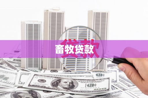 台西畜牧贷款