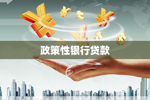台西政策性银行贷款