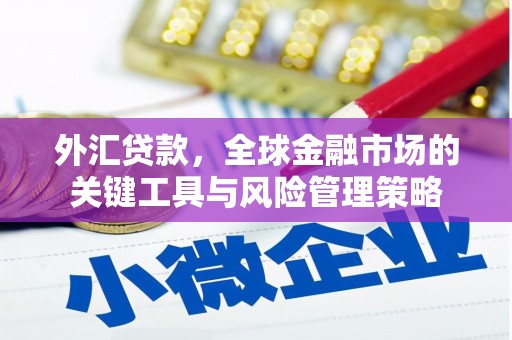 台西外汇贷款，全球金融市场的关键工具与风险管理策略