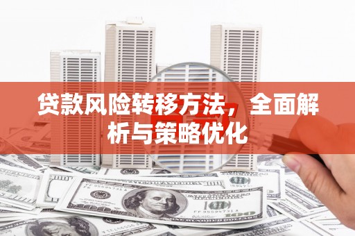 台西贷款风险转移方法，全面解析与策略优化