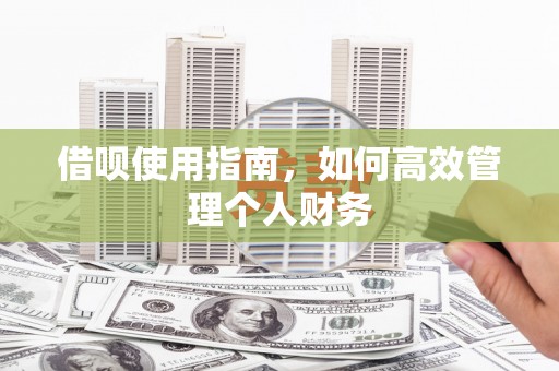 台西借呗使用指南，如何高效管理个人财务