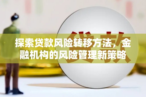 台西探索贷款风险转移方法，金融机构的风险管理新策略
