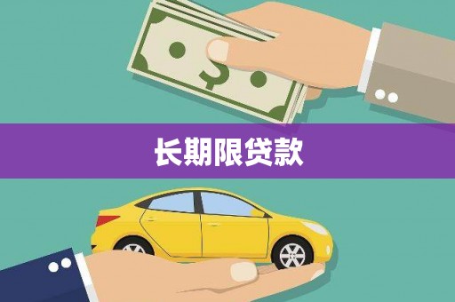 台西长期限贷款