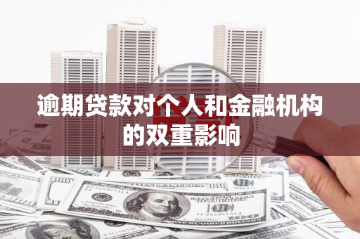 台西逾期贷款对个人和金融机构的双重影响
