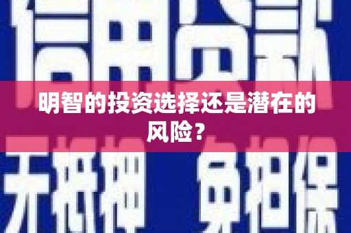 台西明智的投资选择还是潜在的风险？