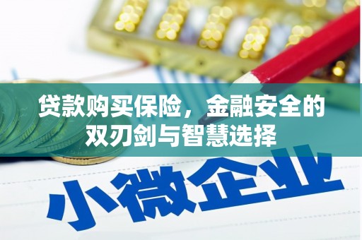 台西贷款购买保险，金融安全的双刃剑与智慧选择