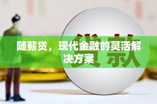 台西随薪贷，现代金融的灵活解决方案