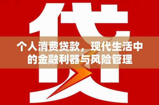 台西个人消费贷款，现代生活中的金融利器与风险管理