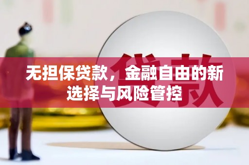 台西无担保贷款，金融自由的新选择与风险管控
