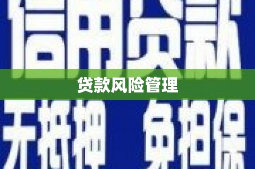 台西贷款风险管理
