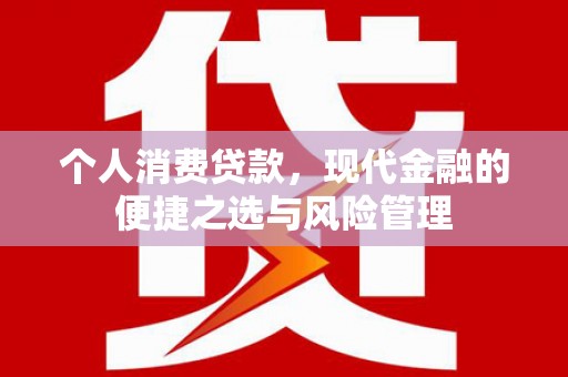 台西个人消费贷款，现代金融的便捷之选与风险管理