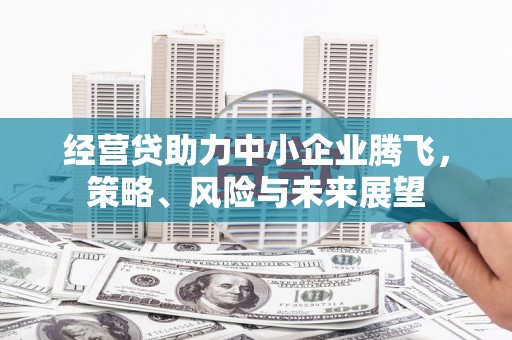 台西经营贷助力中小企业腾飞，策略、风险与未来展望