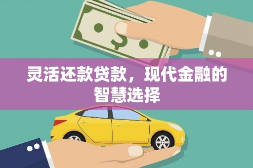 台西灵活还款贷款，现代金融的智慧选择