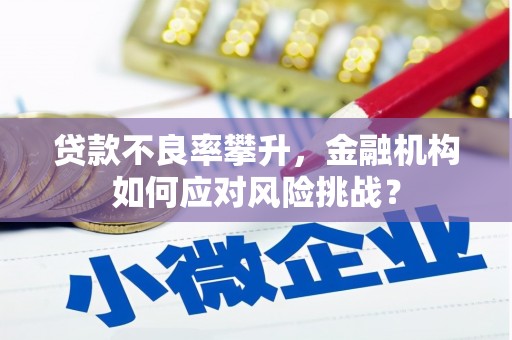 台西贷款不良率攀升，金融机构如何应对风险挑战？
