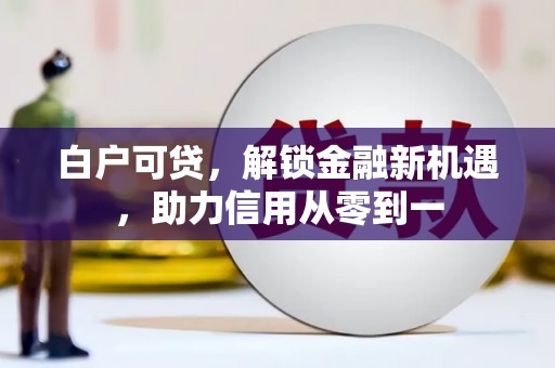 台西白户可贷，解锁金融新机遇，助力信用从零到一