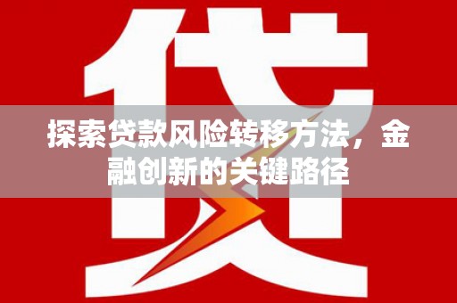 台西探索贷款风险转移方法，金融创新的关键路径