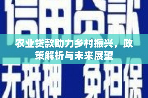 台西农业贷款助力乡村振兴，政策解析与未来展望