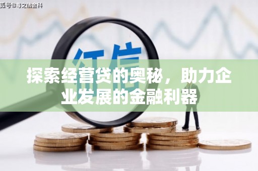 台西探索经营贷的奥秘，助力企业发展的金融利器