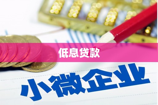 台西低息贷款