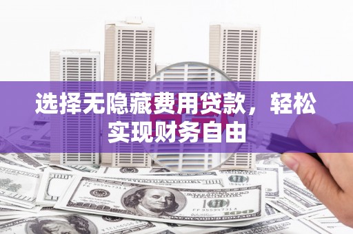 台西选择无隐藏费用贷款，轻松实现财务自由