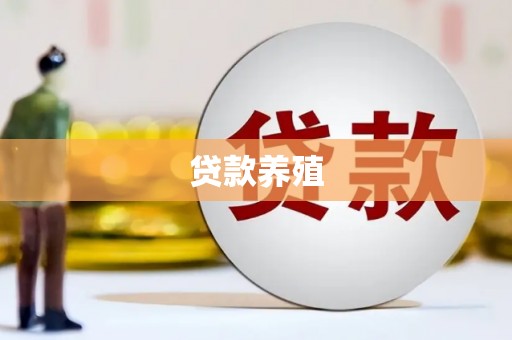台西贷款养殖