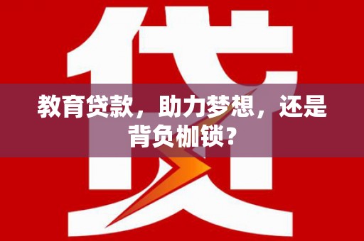 台西教育贷款，助力梦想，还是背负枷锁？