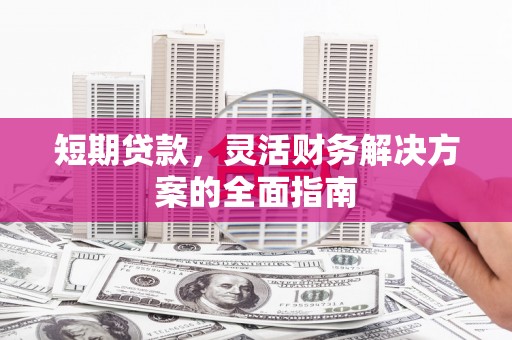 台西短期贷款，灵活财务解决方案的全面指南