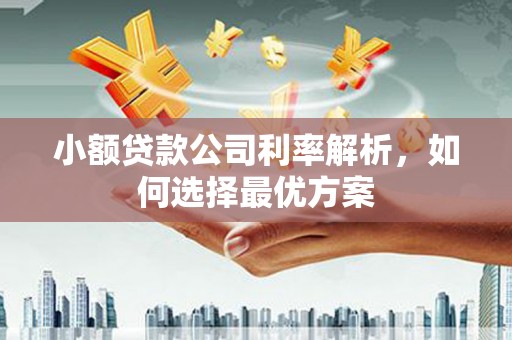 台西小额贷款公司利率解析，如何选择最优方案