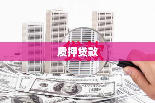 台西质押贷款