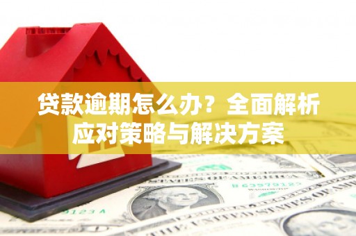 台西贷款逾期怎么办？全面解析应对策略与解决方案