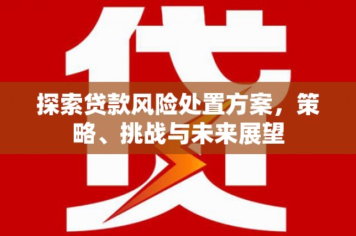 台西探索贷款风险处置方案，策略、挑战与未来展望