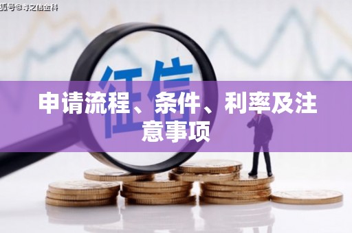 台西申请流程、条件、利率及注意事项
