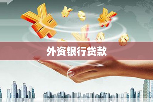 台西外资银行贷款